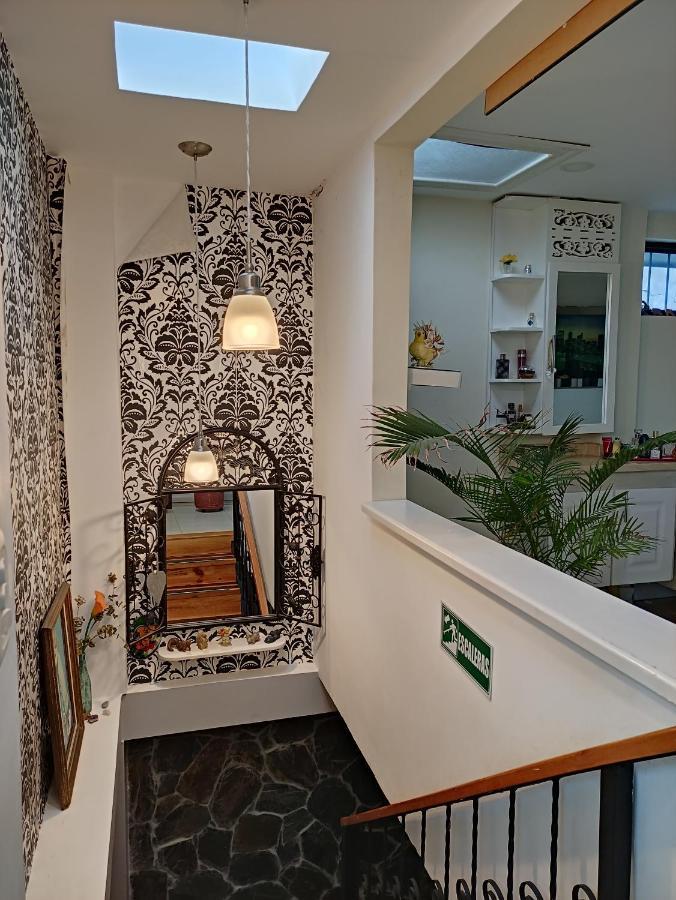 Los Andes Hostal Filandia Exteriér fotografie